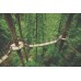 Capilano Suspension Bridge Park