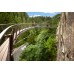 Capilano Suspension Bridge Park