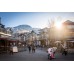 Whistler & Sea To Sky Gondola Tour