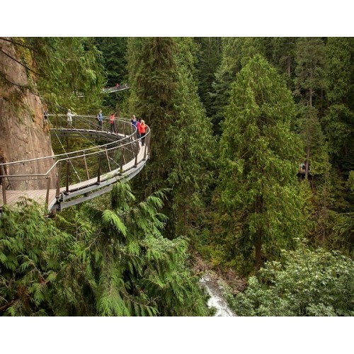 Vancouver City Tour & Capilano Suspension Bridge Park