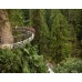 Grouse Mountain & Capilano Suspension Bridge Park Tour