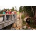 Grouse Mountain & Capilano Suspension Bridge Park Tour