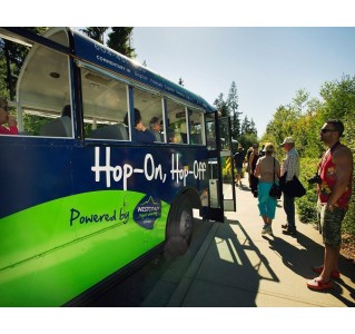 Hop-On Hop-Off Sightseeing Tour - Dual Pass (48 Hour)