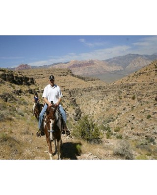 Cowboy Trail Rides