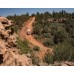 Diamondback Gulch Jeep Tour