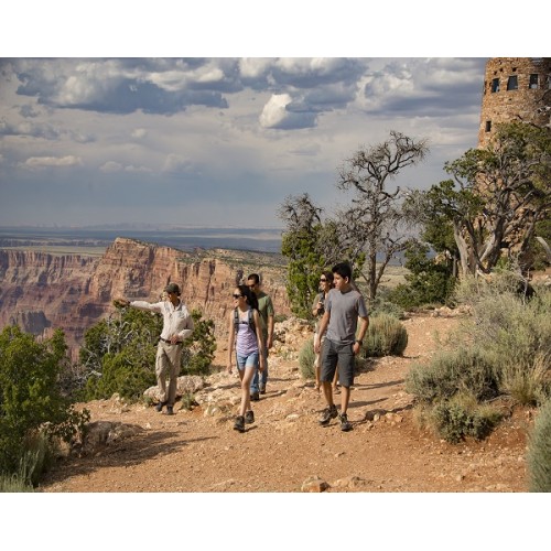 The Desert View Jeep Tour