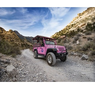 Red Rock Canyon & Rocky Gap Jeep Tour