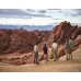 Valley Of Fire Jeep Tour