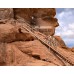 Valley Of Fire Jeep Tour