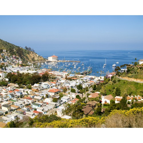 Catalina Express - Round Trip & Avalon City Tour