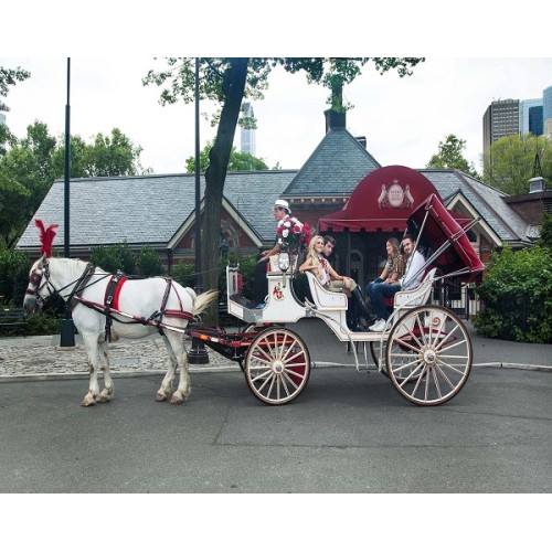 Central Park Horse & Carriage Ride (15-20 Minutes)