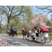 Central Park Horse & Carriage Ride (15-20 Minutes)