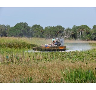 Boggy Creek 30 Minute Airboat Ride