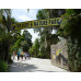 Wild Florida 1 Hour Everglades Tour & Wildlife Park Admission with Transportation