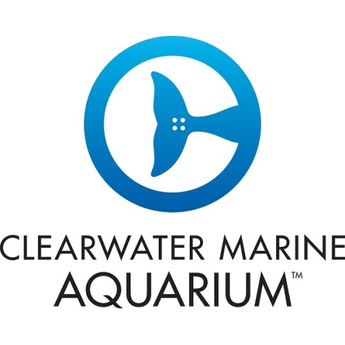 Clearwater Marine Aquarium (Admission Only)