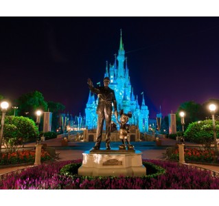 Disney After Hours Ticket - Magic Kingdom