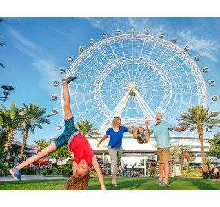 The Wheel at ICON Park