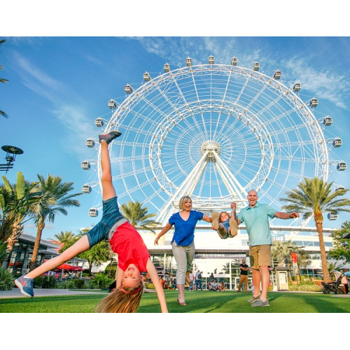 The Wheel at ICON Park