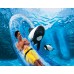 SeaWorld / Aquatica / Busch Gardens Three Day Ticket + All Day Dining