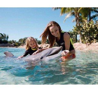 Discovery Cove Dolphin Swim Package + 14 Day SeaWorld & Aquatica PRICES FROM 