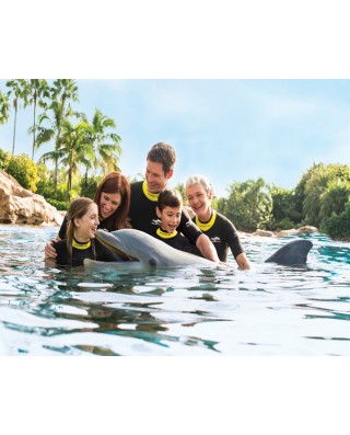 Discovery Cove