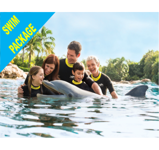 Discovery Cove Dolphin Swim Package + 14 Day SeaWorld & Aquatica PRICES FROM 