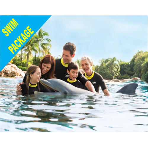 Discovery Cove Dolphin Swim Package + 14 Day SeaWorld & Aquatica PRICES FROM 