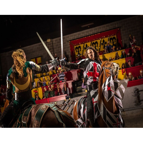 Medieval Times Dinner & Tournament