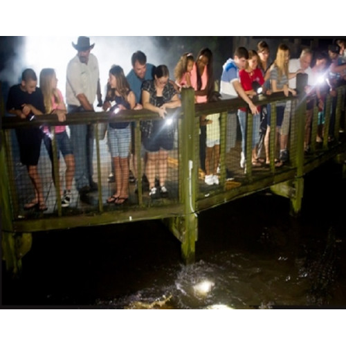 Gatorland Night Shine