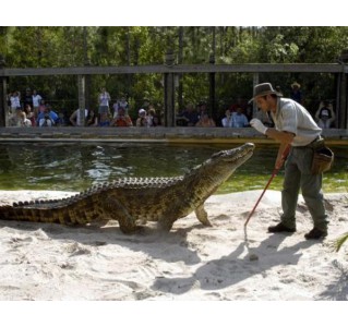 Gatorland & Boggy Creek Combo Ticket