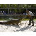 Gatorland 1 Day Admission Ticket