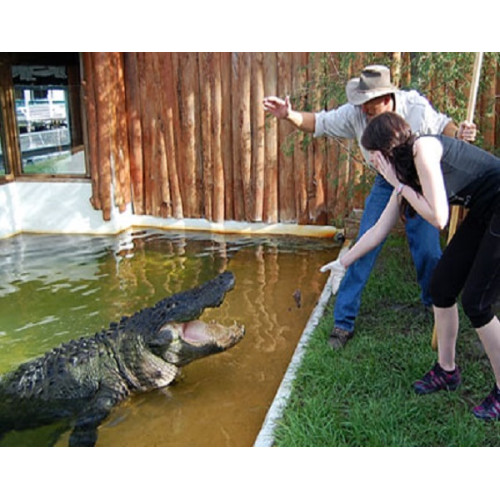 Gatorland Admission Ticket & Trainer For a Day