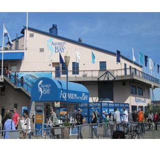 Aquarium Of The Bay Pier 39