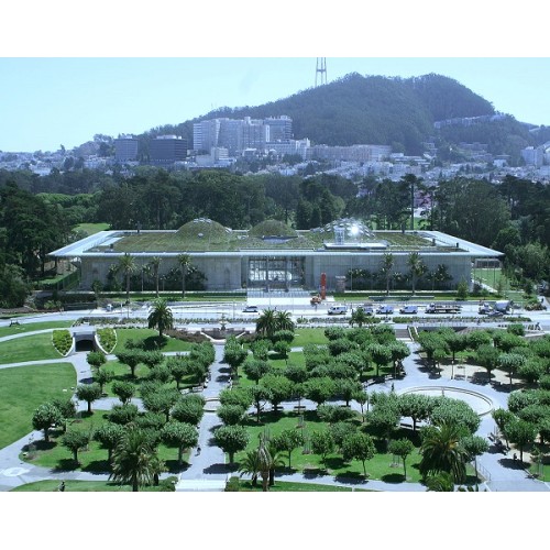 California Academy Of Sciences - General Admission