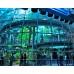 California Academy Of Sciences - General Admission